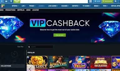 1xBet Website