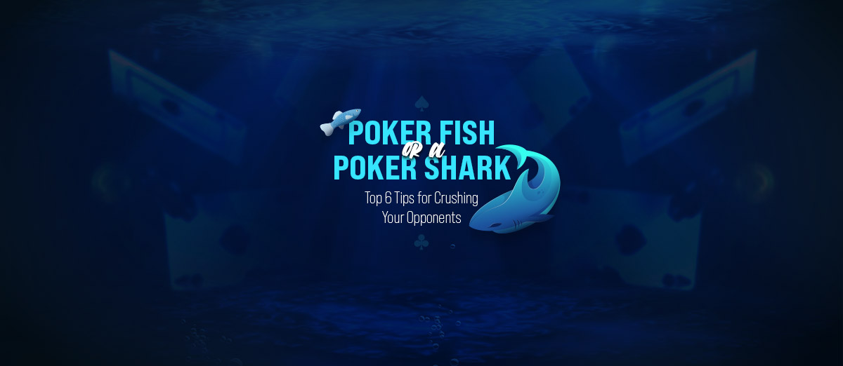 Poker Fish or a Poker Shark
