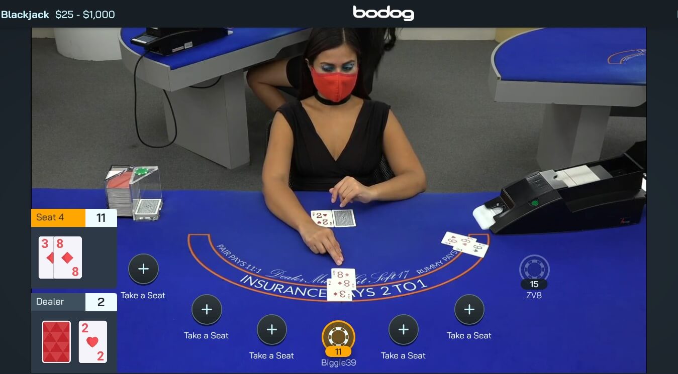 bodog contact us