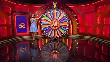 Mega Wheel Live Game Show at Unibet Casino