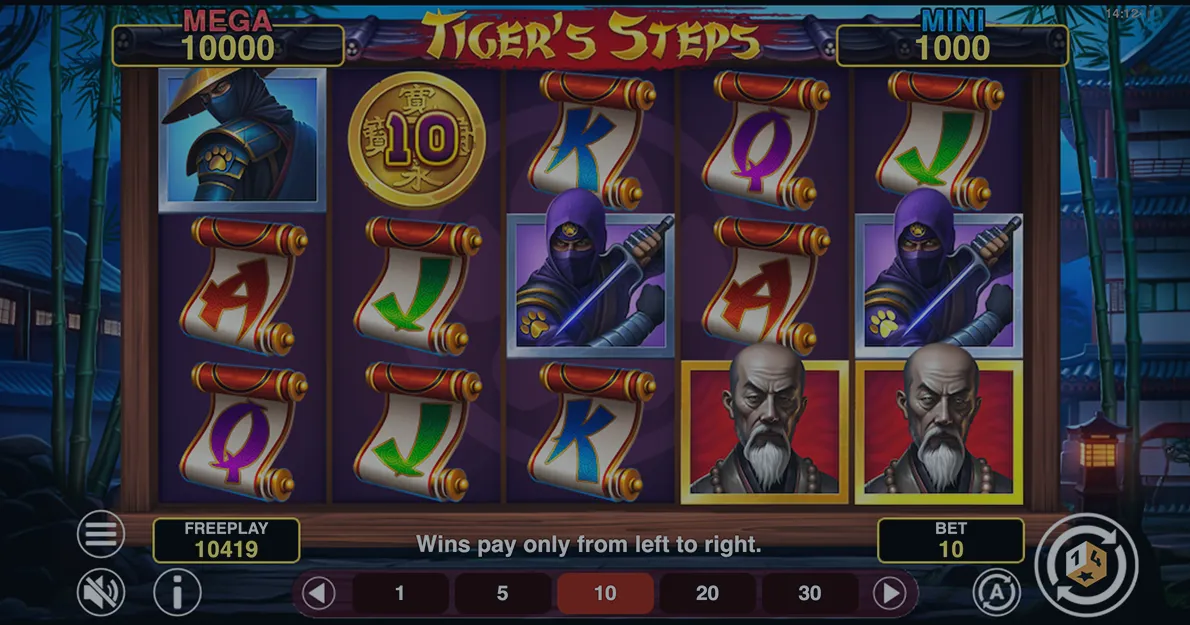 Tiger’s Steps Hold and Win demo
