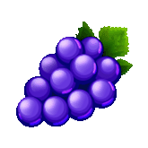 Grape Symbol