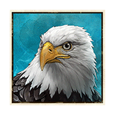 Eagle Symbol