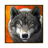 Wolf Symbol