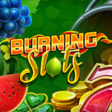 Burning Slots logo