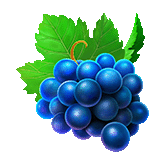 Grapes Symbol