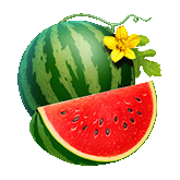 Watermelon Symbol