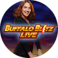 Buffalo Blitz Live