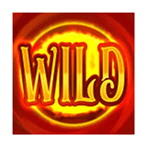 Wild Symbol