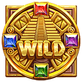 Wild Symbol