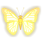 Butterfly Symbol