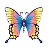 Butterfly Symbol