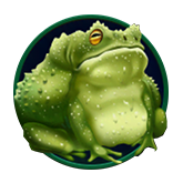 Frog Symbol