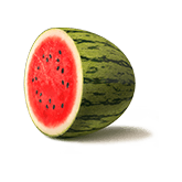 Watermelon Symbol