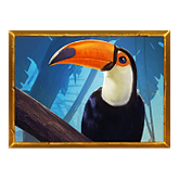 Golden Amazon Payout Table - symbol Toucan