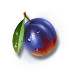 Plum Symbol