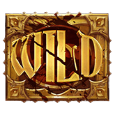 Wild Symbol