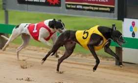 Scotland greyhound racing ban