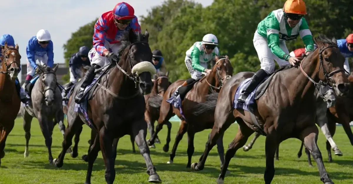 Nevada Upholds Trainer Sanction