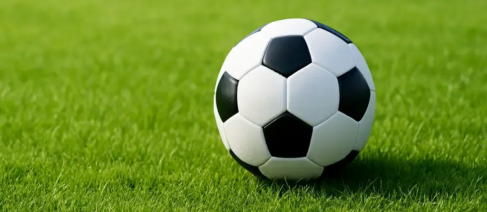 46 Detained in Match-Fixing Scandal