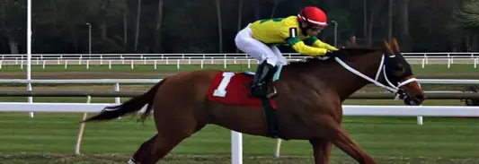 Florida bill 881 revives horse racing