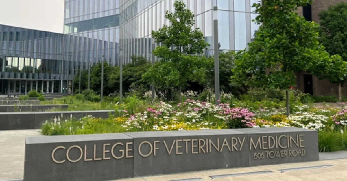 Cornell Begins Racehorse Safety Study