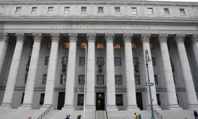 Papaya Hit with Verdict