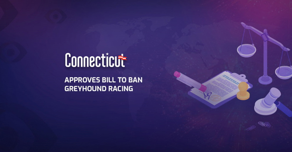 Connecticut wants to ban Greyhound racing