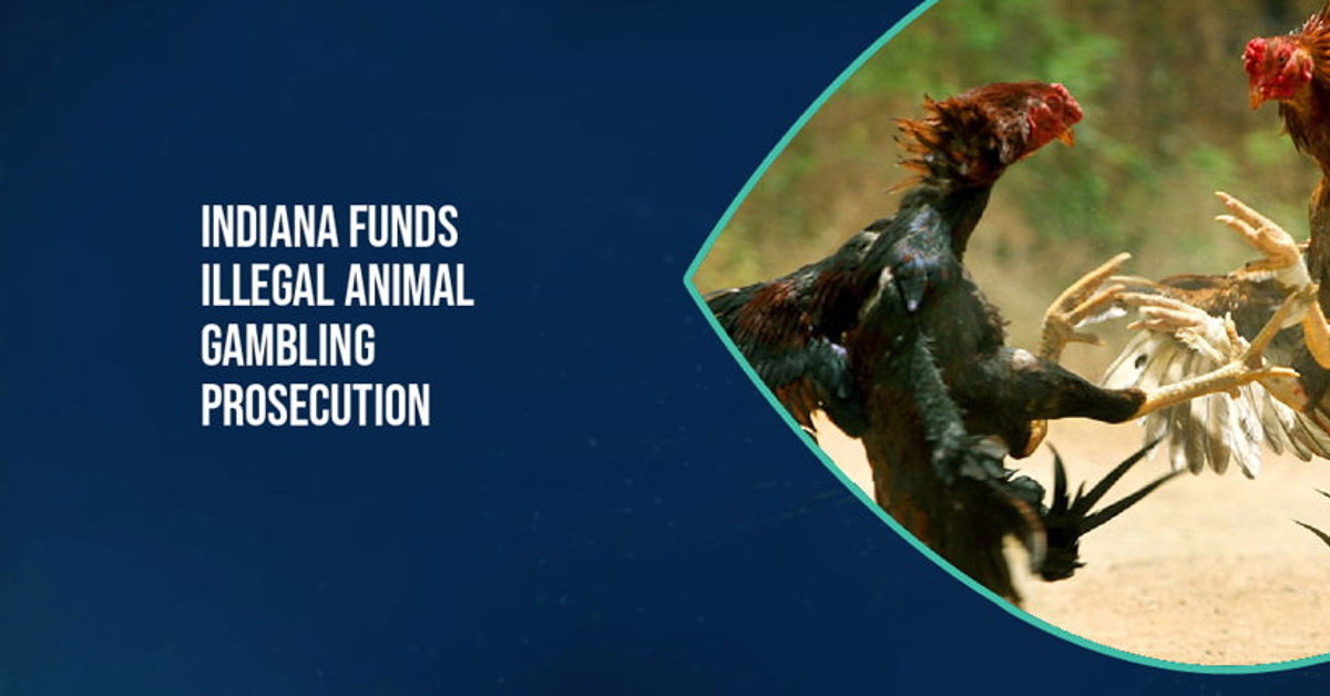 Indiana announce illegal animal gambling bill