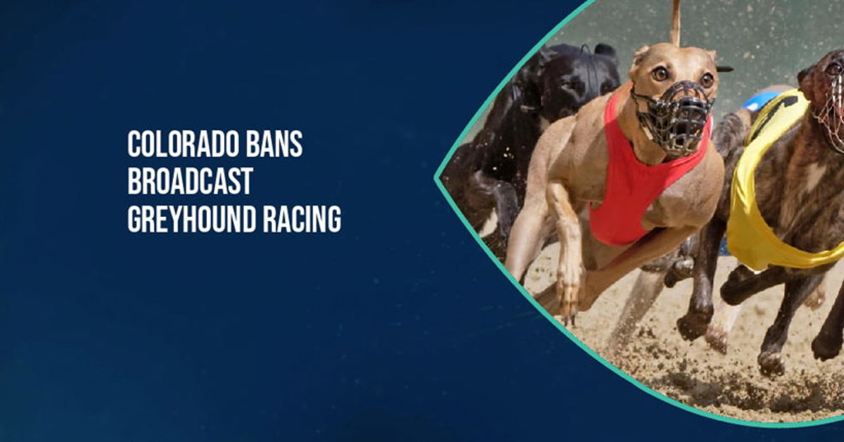 Colorado bans broadcast greyhound racing