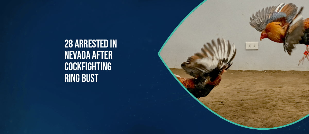 28 Individuals Arrested in Nevada Cockfighting Ring Crackdown