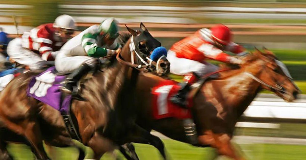 HKJC 2023 season financial results