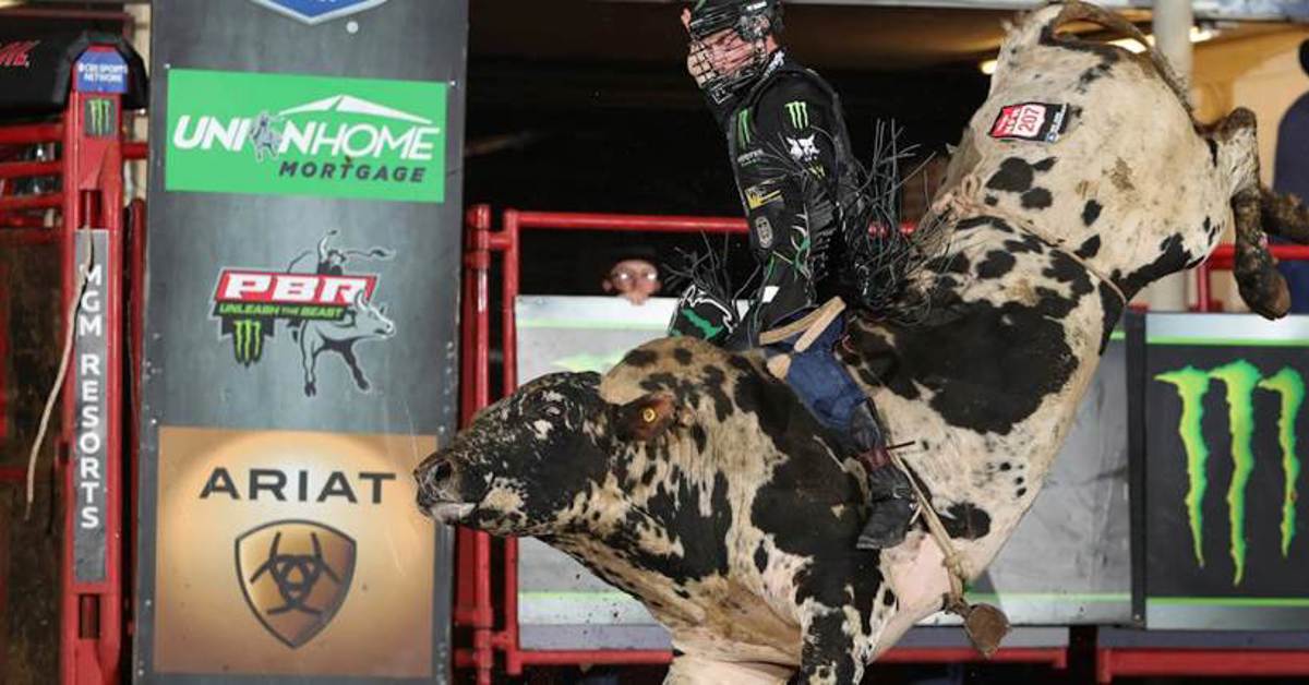 OpenBet features PBR odds and lines