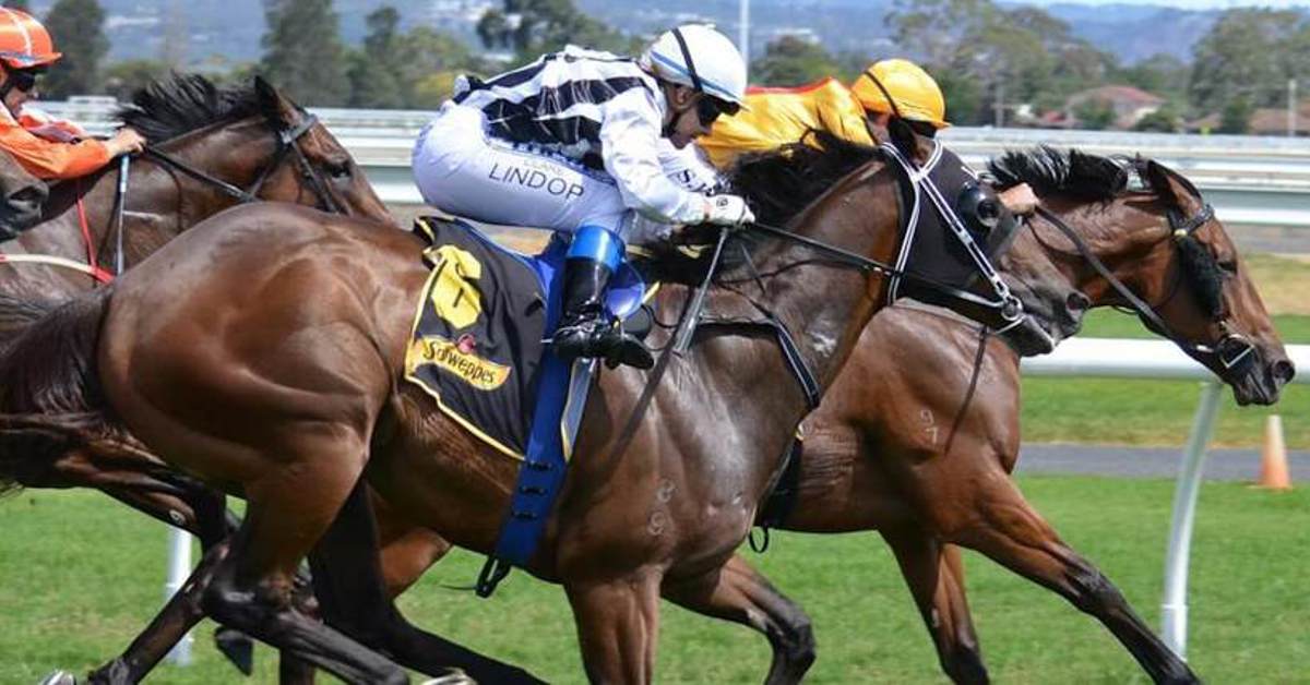 Caesars horseracing app goes live in New York