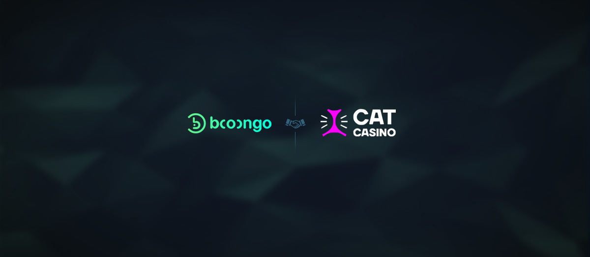 Booongo has signed a deal with CatCasino