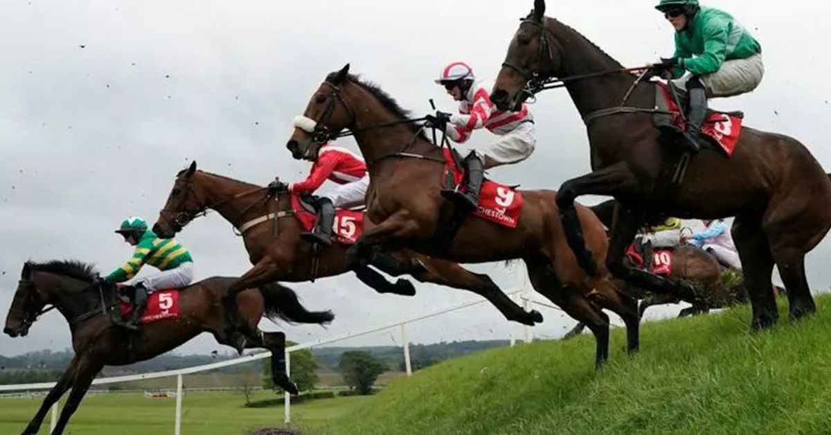 Irish racing concerned over ban