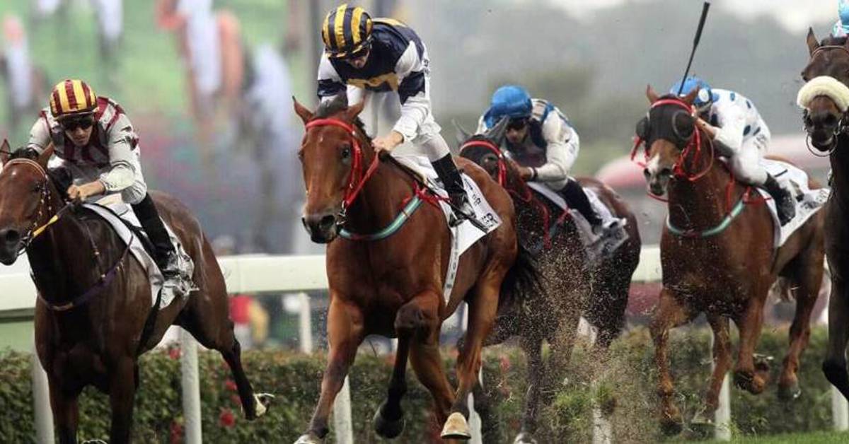 RMG launches horseracing on SSBTs