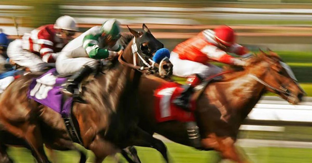 Flutter and ITV start an exciting horseracing docuseries in 2024