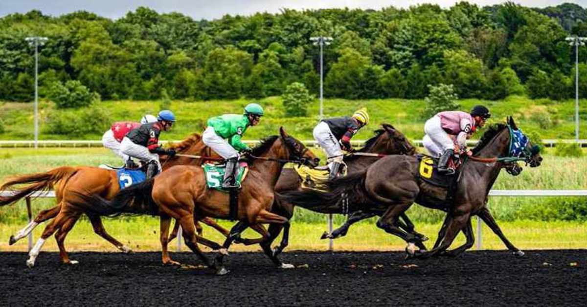 Racing Post launches Saturday show, partners with William Hill