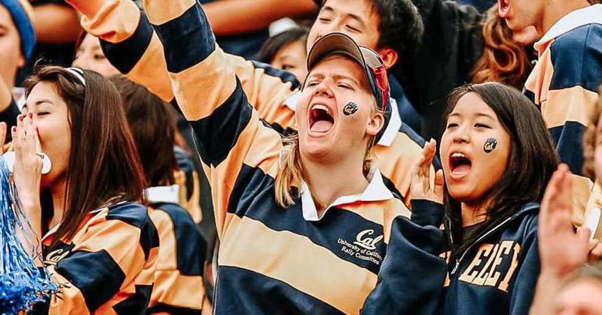 Growing number of students in colleges with gambling addiction