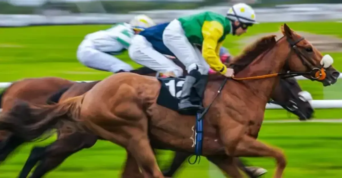 ARC and RMG partner for global racing content distribution