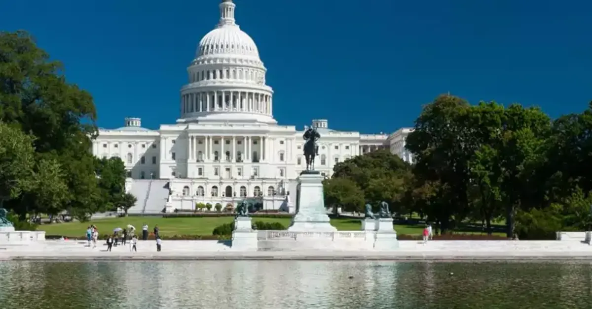 Washington DC November betting