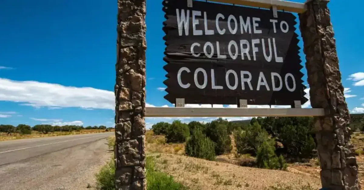 Colorado November betting report