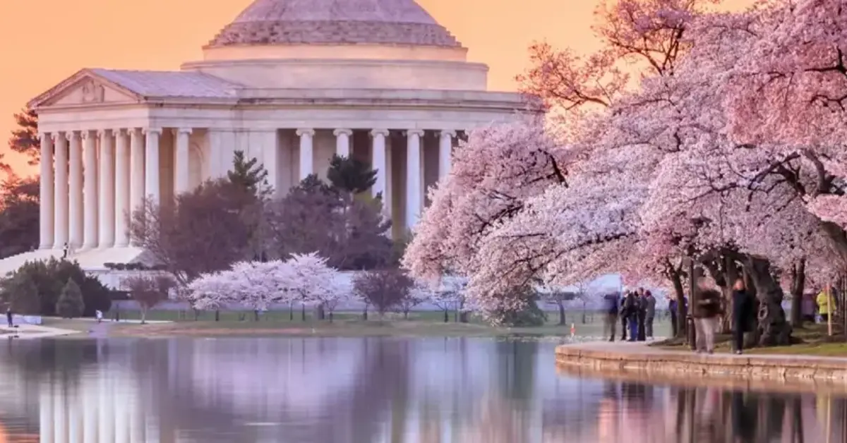 DC sports betting results