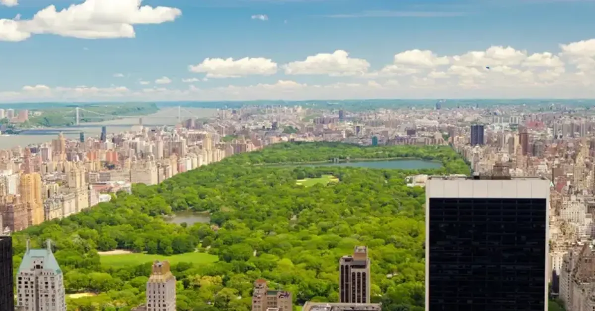 New York’s mobile sports betting industry hits $3 billion in revenue