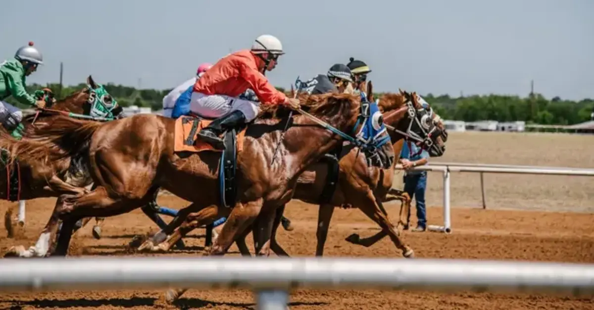 William Hill's four ambassadors