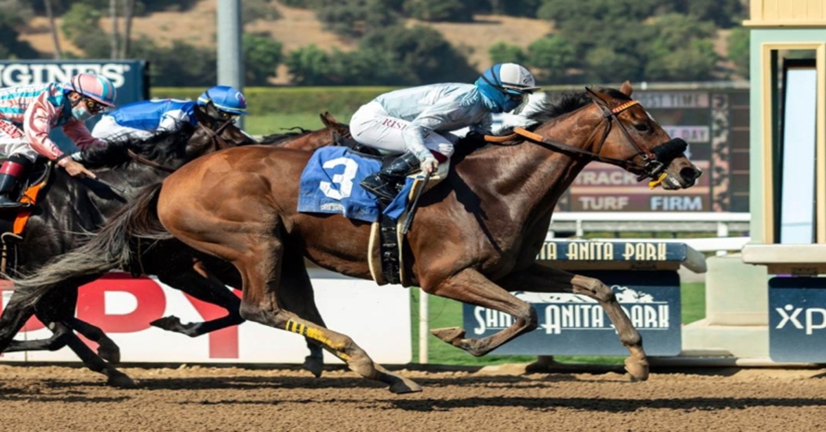 Louisiana HHR Gambling Ruled Unconstitutional