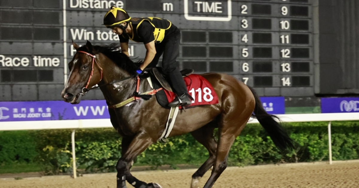 Macau Jockey Club Closure May Cause Hundreds of Horses to Be Abandoned