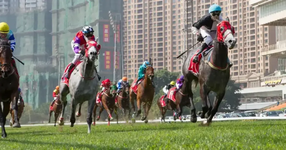 Macao’s final horse race