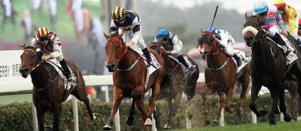 BGC raises £15,000 for charity through Grand National betting